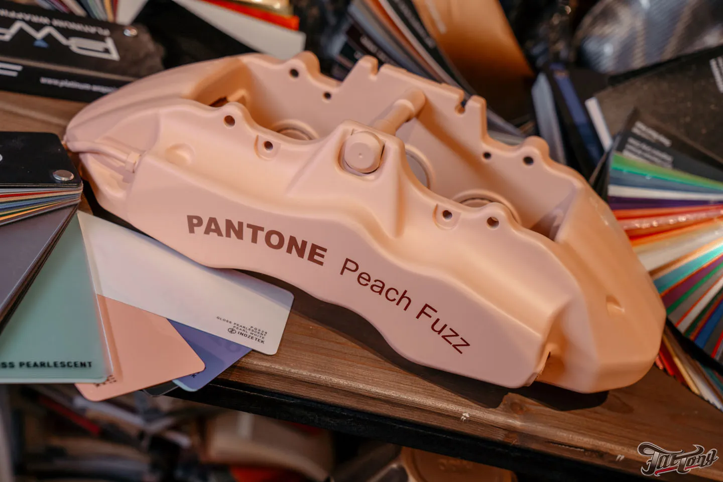 Суппорта в цвете 2024 года от Pantone Peach Fuzz